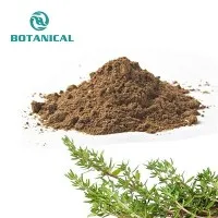 Thyme Leaf Extract